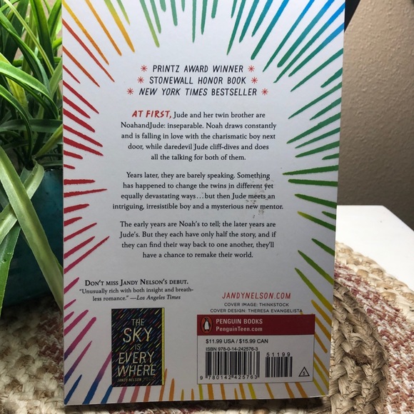 I’ll give you the sun by Jandy Nelson - Picture 3 of 4